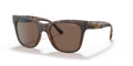 238673