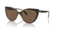 W65673