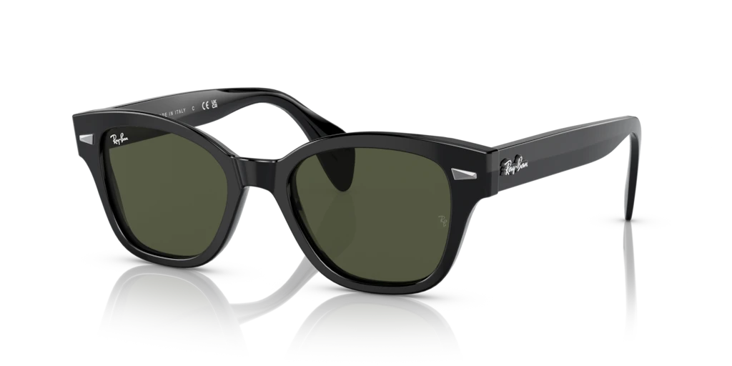 Ray Ban RB0880S 901/31 Güneş Gözlükleri