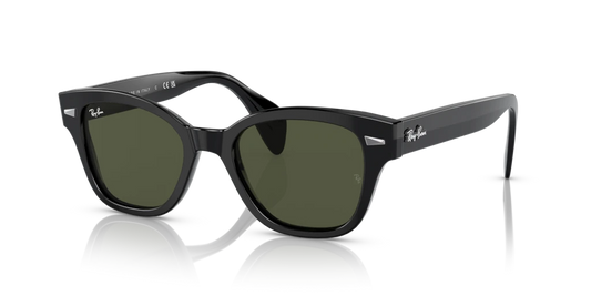 Ray Ban RB0880S 901/31 Güneş Gözlükleri