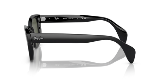 Ray Ban RB0880S 901/31 Güneş Gözlükleri