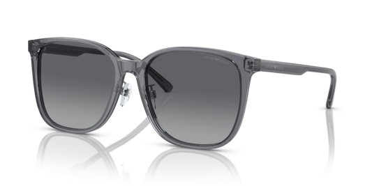 Emporio Armani EA4206D 5029T3 57 Güneş Gözlükleri