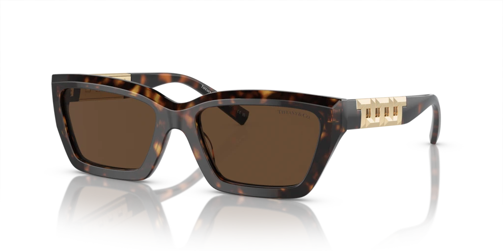 Tiffany TF4213 80153G 54 Güneş Gözlükleri