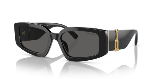 Tiffany TF4208U 8001S4 - 54 - Güneş Gözlükleri