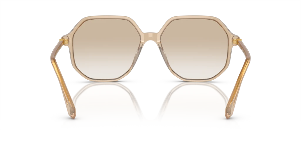 Swarovski SK6003 103411 - 57 - Güneş Gözlükleri