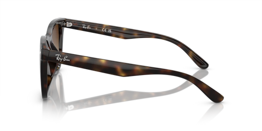 Ray Ban RB4420 710/13 65 Güneş Gözlükleri