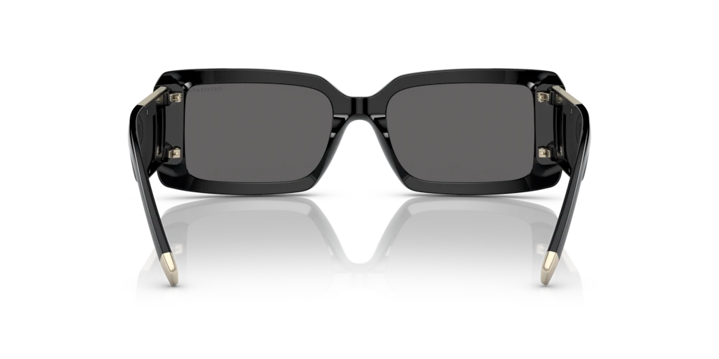 Tiffany TF4197 8001S4 62 Güneş Gözlükleri