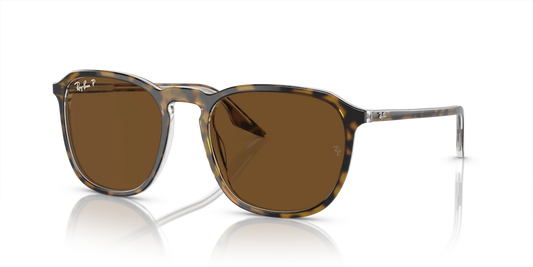 Ray-Ban RB2203 139357 - Güneş Gözlükleri