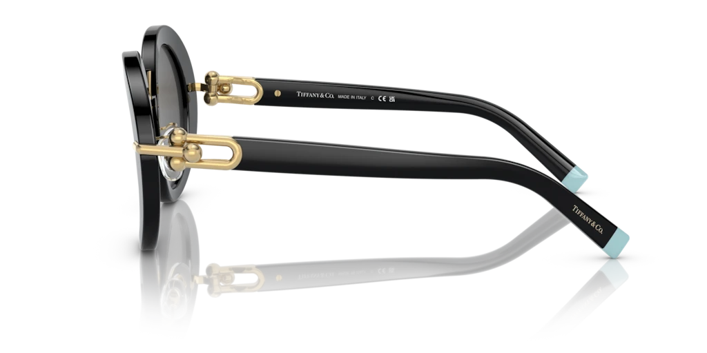 Tiffany TF4201 8001S4 50 Güneş Gözlükleri