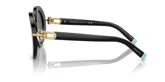 Tiffany TF4201 8001S4 50 Güneş Gözlükleri