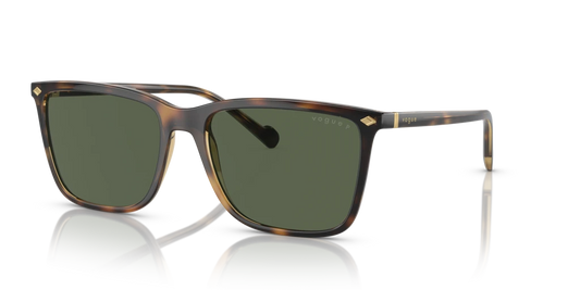 Vogue VO5493S 27189A Güneş Gözlükleri