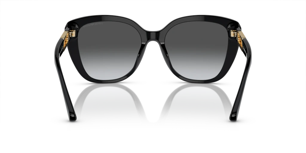 Emporio Armani EA4214U 50178G 54 Güneş Gözlükleri