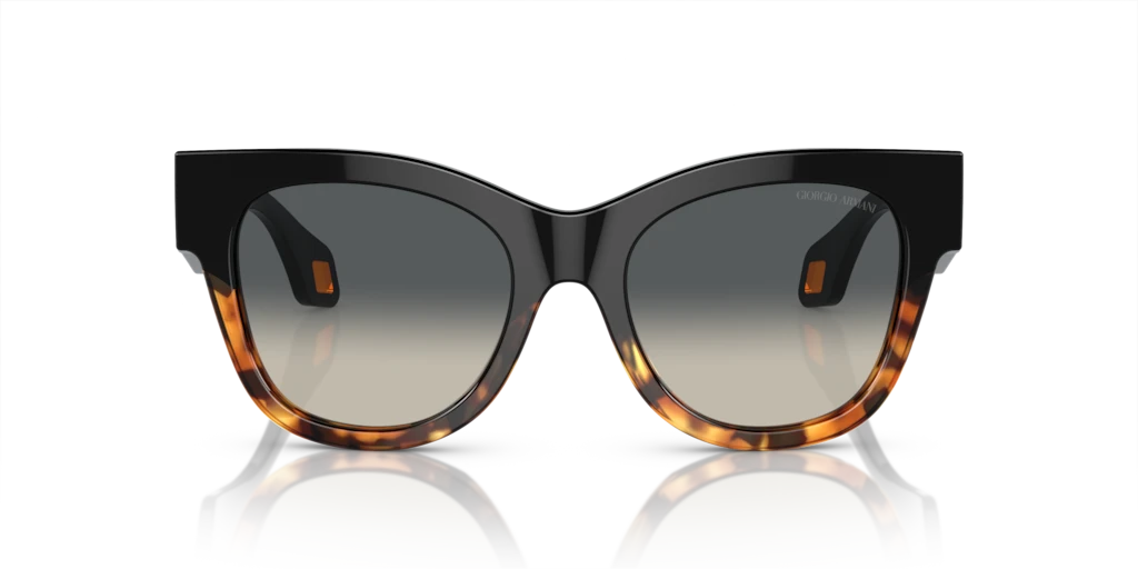 Giorgio Armani AR8195U 587519 51 Güneş Gözlükleri