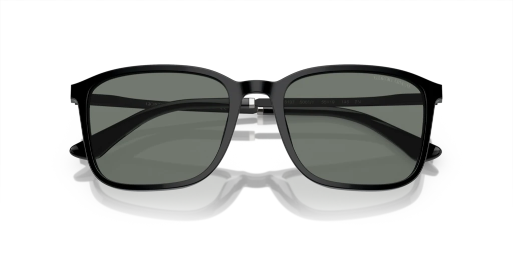 Giorgio Armani AR8197 5001/1 55 Güneş Gözlükleri