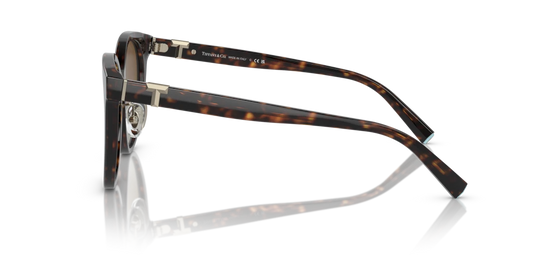 Tiffany TF4209D 8015T5 54 Güneş Gözlükleri