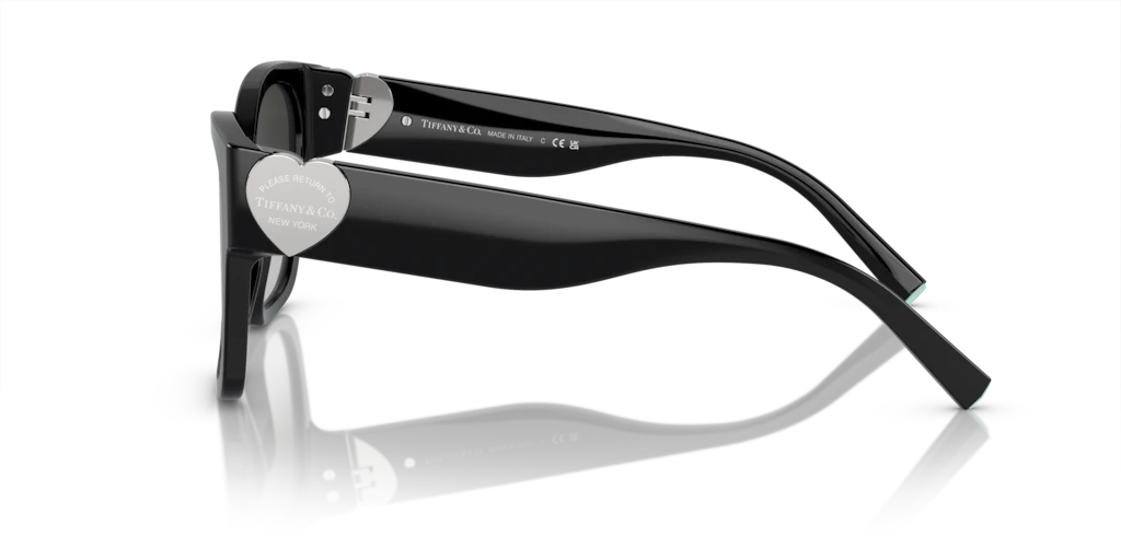 Tiffany TF4216 80013C 54 Güneş Gözlükleri