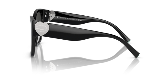 Tiffany TF4216 80013C 54 Güneş Gözlükleri