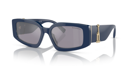 Tiffany TF4208U 83852S 54 Güneş Gözlükleri