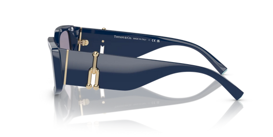Tiffany TF4208U 83852S 54 Güneş Gözlükleri