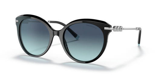 Tiffany TF4189B 80019S 55 Güneş Gözlükleri