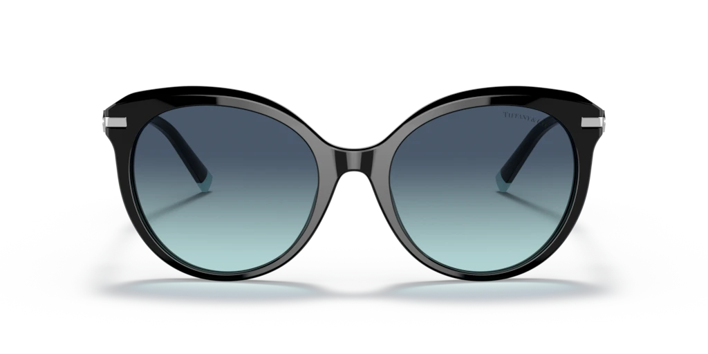 Tiffany TF4189B 80019S 55 Güneş Gözlükleri