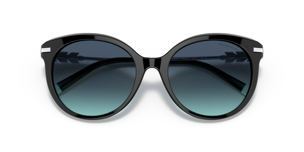 Tiffany TF4189B 80019S 55 Güneş Gözlükleri