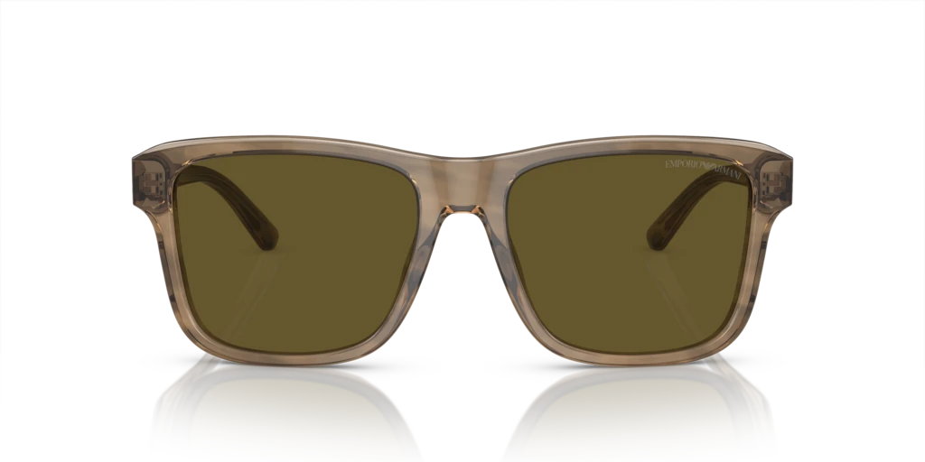 Emporio Armani EA4208 605573 56 Güneş Gözlükleri