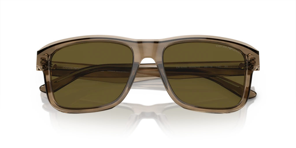 Emporio Armani EA4208 605573 56 Güneş Gözlükleri