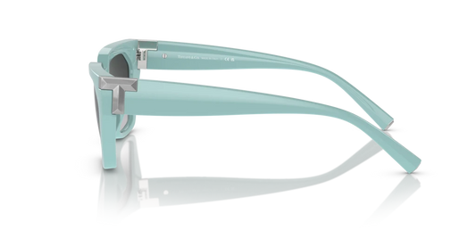 Tiffany TF4205U 83883C 56 Güneş Gözlükleri