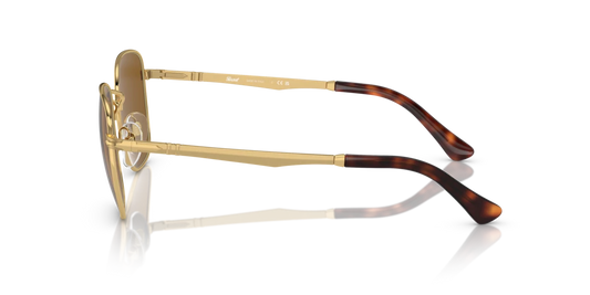 Persol PO2497S 114233 52 Güneş Gözlükleri