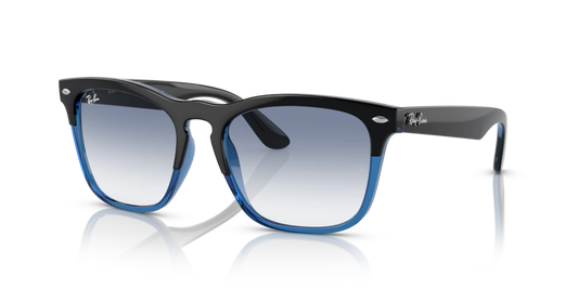 Ray-Ban RB4487 663219 - 54 - Güneş Gözlükleri
