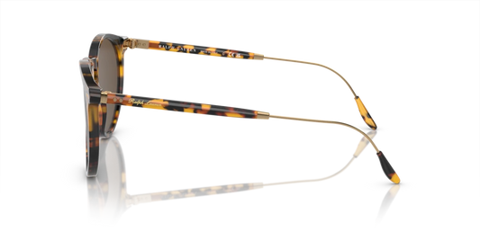 Ralph Lauren RL8181P 513453 - 53 - Güneş Gözlükleri