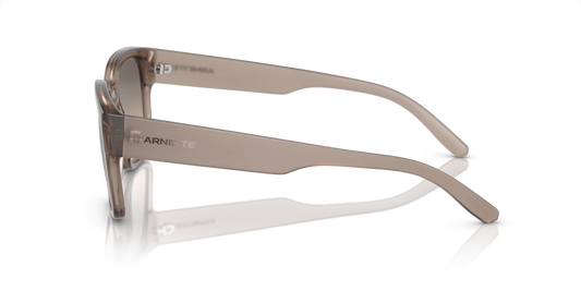 Arnette AN4325 290613 - 54 - Güneş Gözlükleri