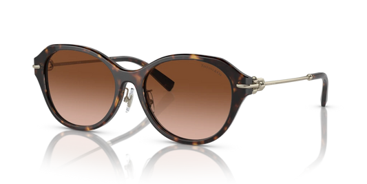 Tiffany TF4210D 80153B 54 Güneş Gözlükleri