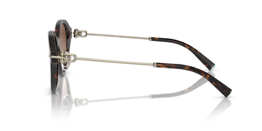 Tiffany TF4210D 80153B 54 Güneş Gözlükleri