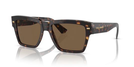 Dolce & Gabbana DG4431 502/73 55 Güneş Gözlükleri