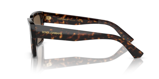 Dolce & Gabbana DG4431 502/73 55 Güneş Gözlükleri