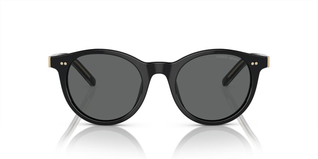 Giorgio Armani AR8199U 587587 - 50 - Güneş Gözlükleri