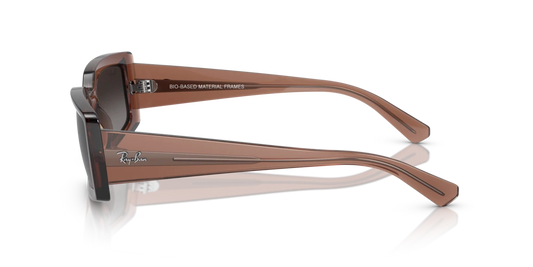 Ray-Ban RB4395 6678T3 - 54 - Güneş Gözlükleri
