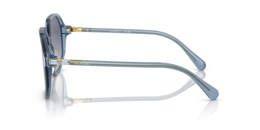 Swarovski SK6003 10354L 57 Güneş Gözlükleri