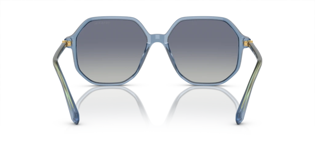 Swarovski SK6003 10354L 57 Güneş Gözlükleri