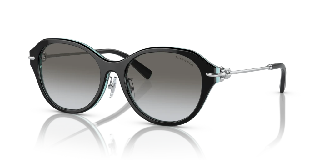 Tiffany TF4210D 82853C 54 Güneş Gözlükleri