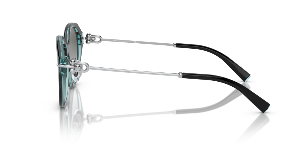 Tiffany TF4210D 82853C 54 Güneş Gözlükleri