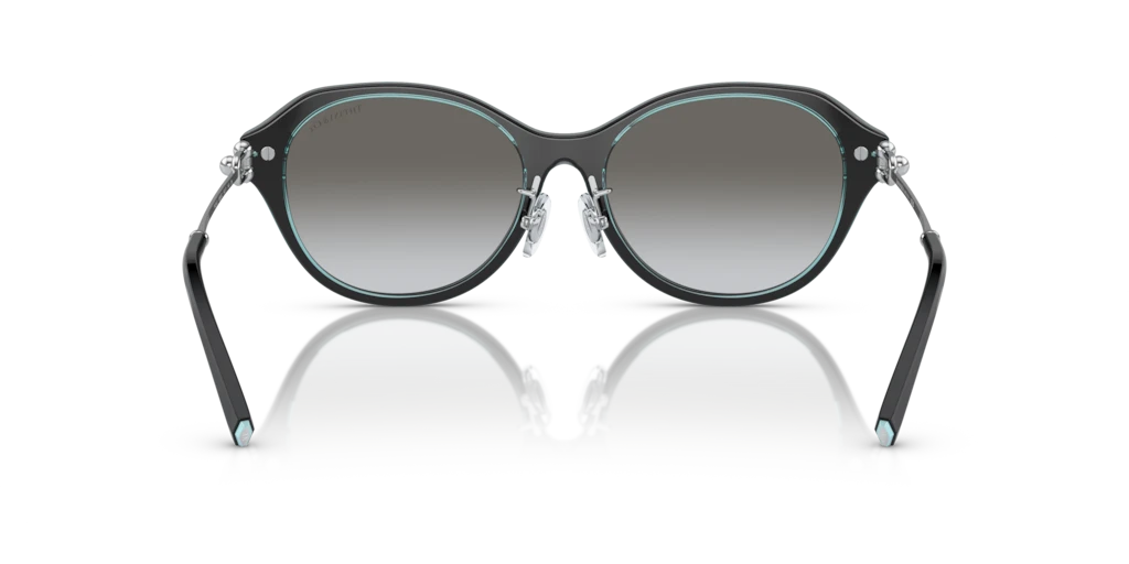 Tiffany TF4210D 82853C 54 Güneş Gözlükleri