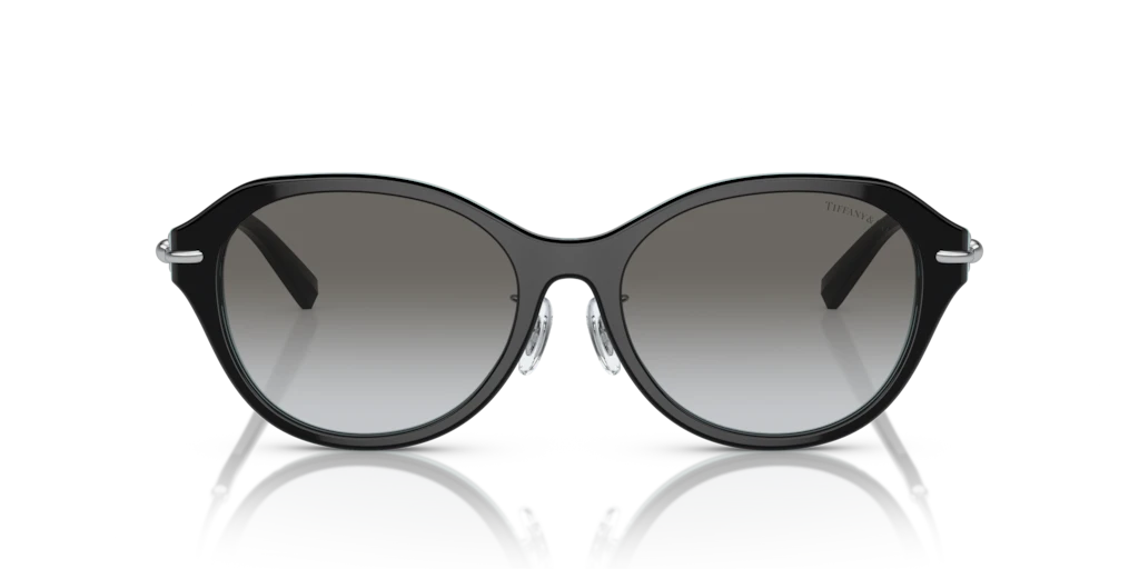 Tiffany TF4210D 82853C 54 Güneş Gözlükleri