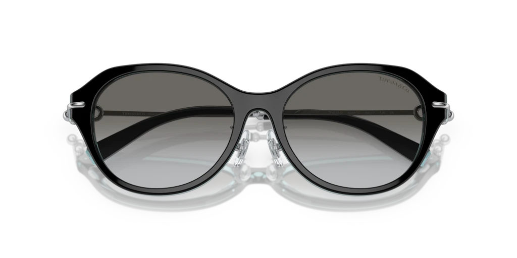 Tiffany TF4210D 82853C 54 Güneş Gözlükleri