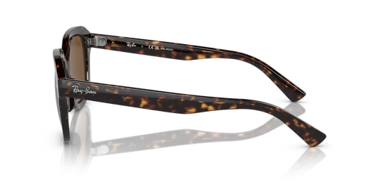 Ray-Ban RB4398 902/57 - Güneş Gözlükleri