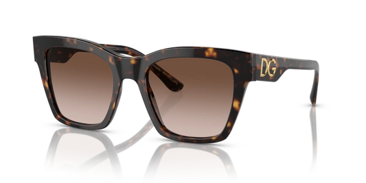 Dolce & Gabbana DG4384 502/13 53 Güneş Gözlükleri