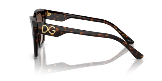 Dolce & Gabbana DG4384 502/13 53 Güneş Gözlükleri