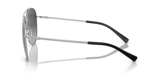 Armani Exchange AX2043S 60178G - 62 - Güneş Gözlükleri